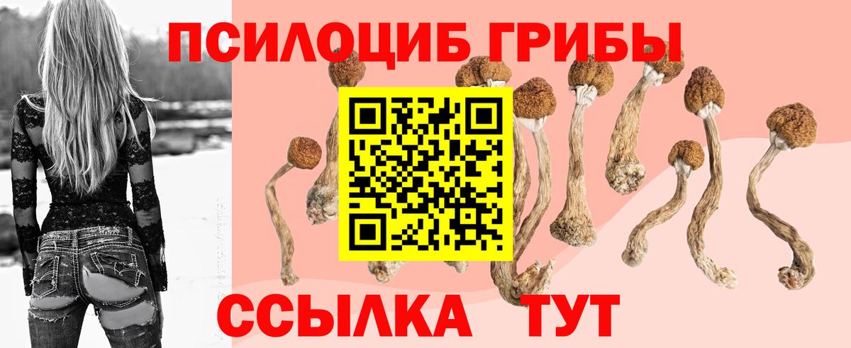 Галлюциногенные грибы мицелий  Вход с VPN  купить закладку  Отрадное  Псилоцибиновые грибы MAGIC MUSHROOMS 